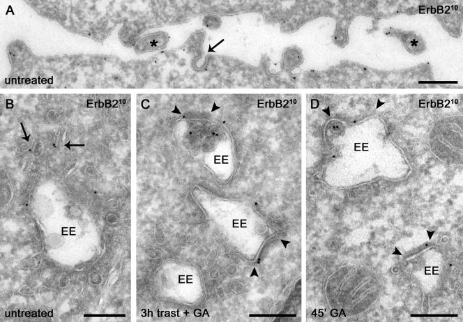 Figure 10.