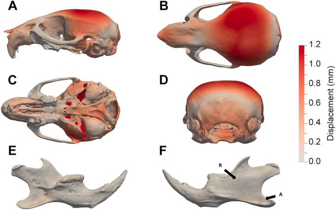 Fig. 4.