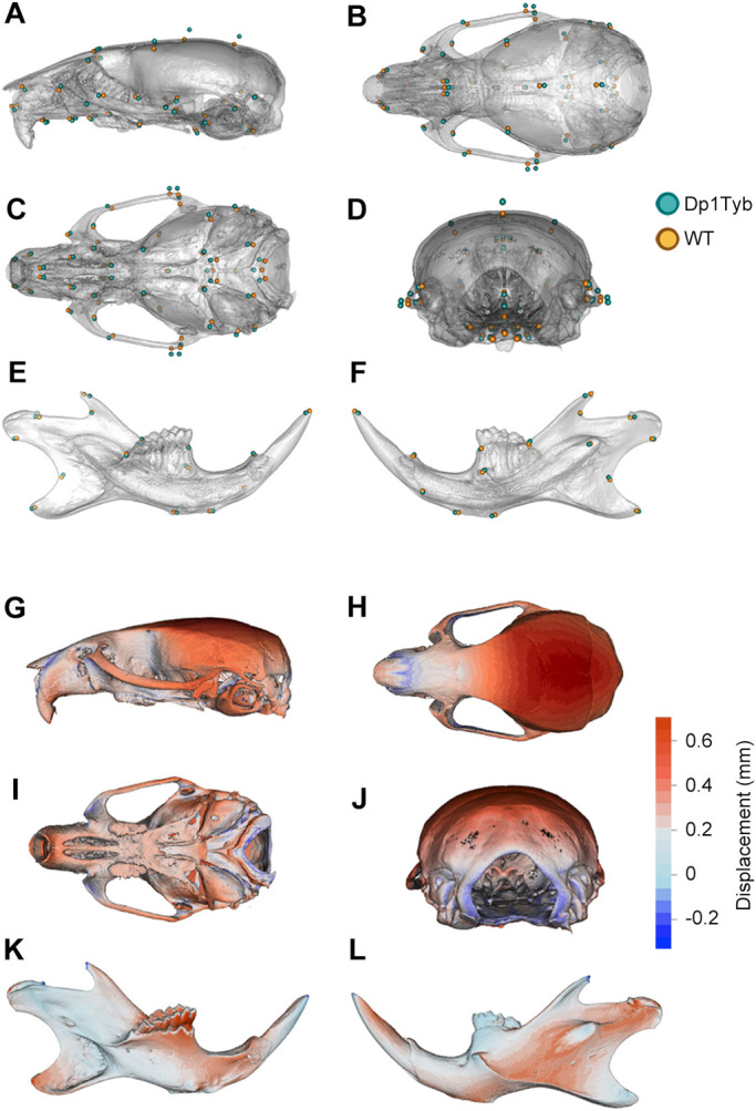 Fig. 3.