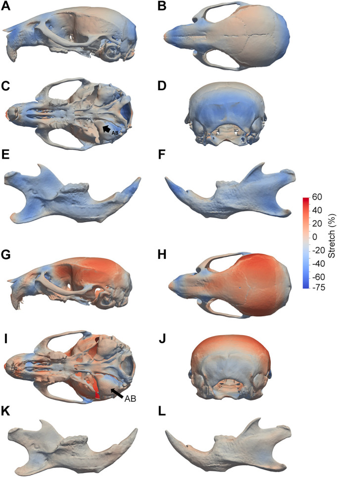 Fig. 5.