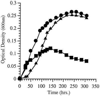 FIG. 5