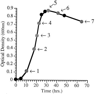 FIG. 1