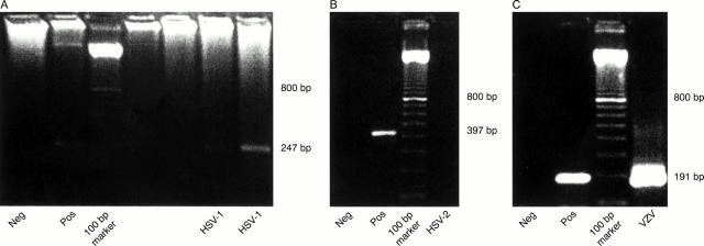 Figure 1  