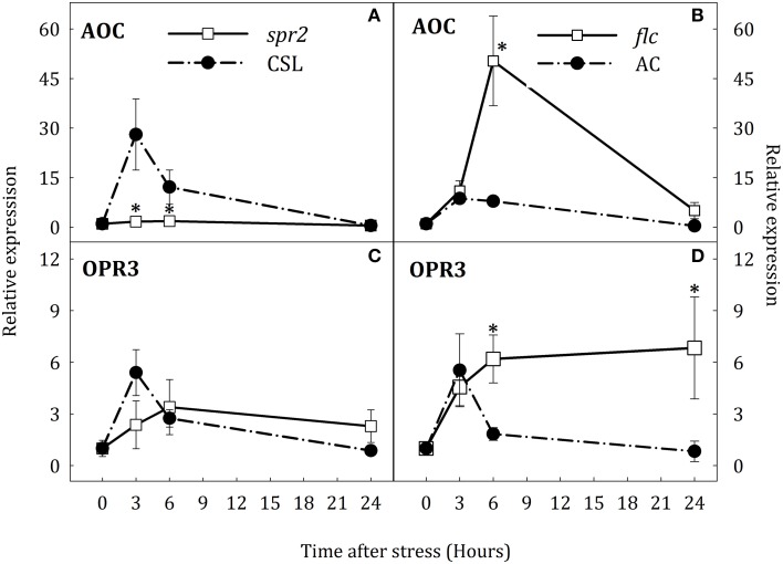 Figure 6