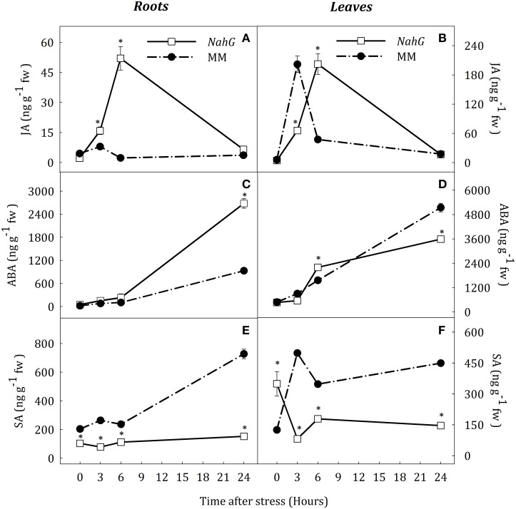 Figure 10