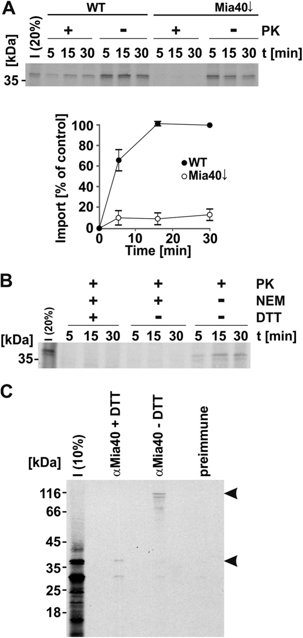 FIGURE 3: