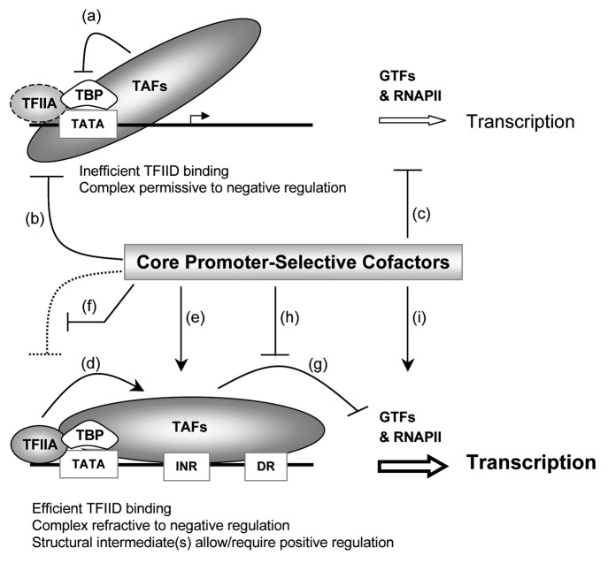 graphic file with name tran-3-295-g1.jpg