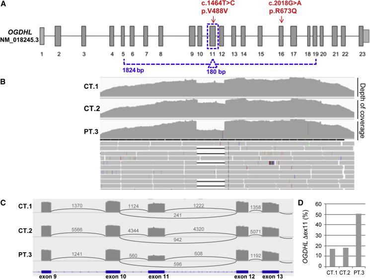 Figure 6