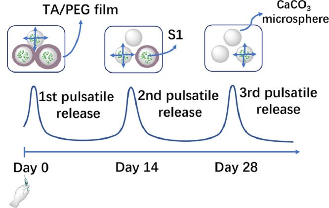 Image, graphical abstract