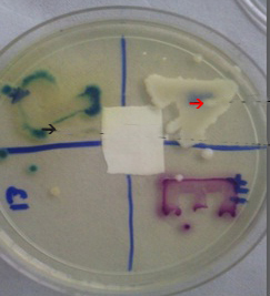 [Table/Fig-4]: