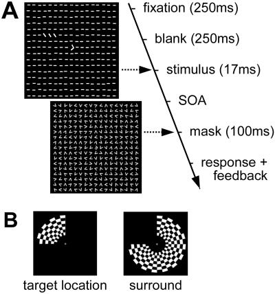 Fig 1.