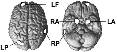 Fig 3.