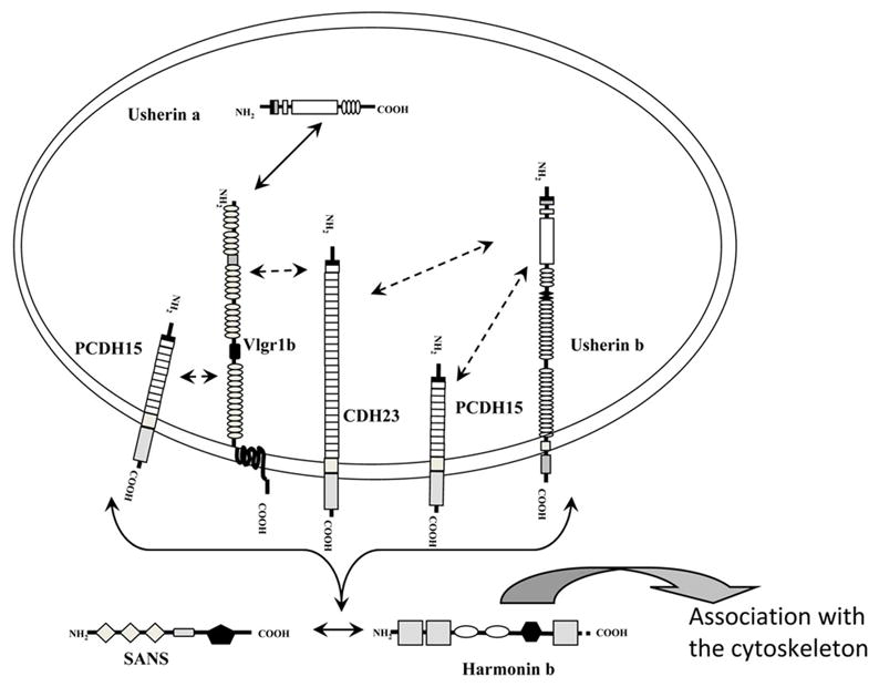 Figure 10