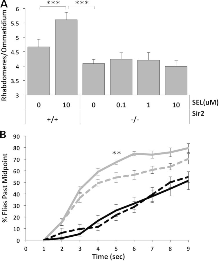 Figure 2.