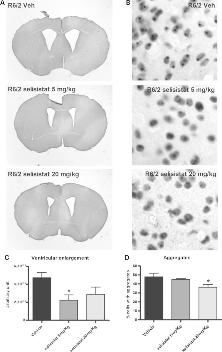 Figure 6.