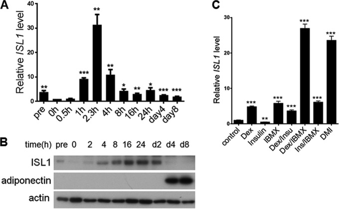 FIG 2