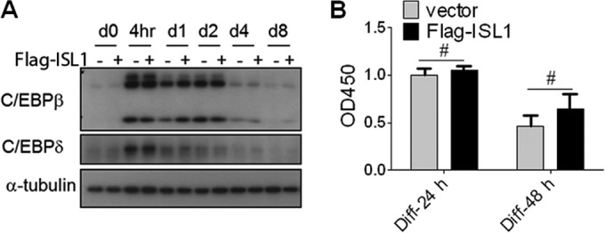 FIG 4