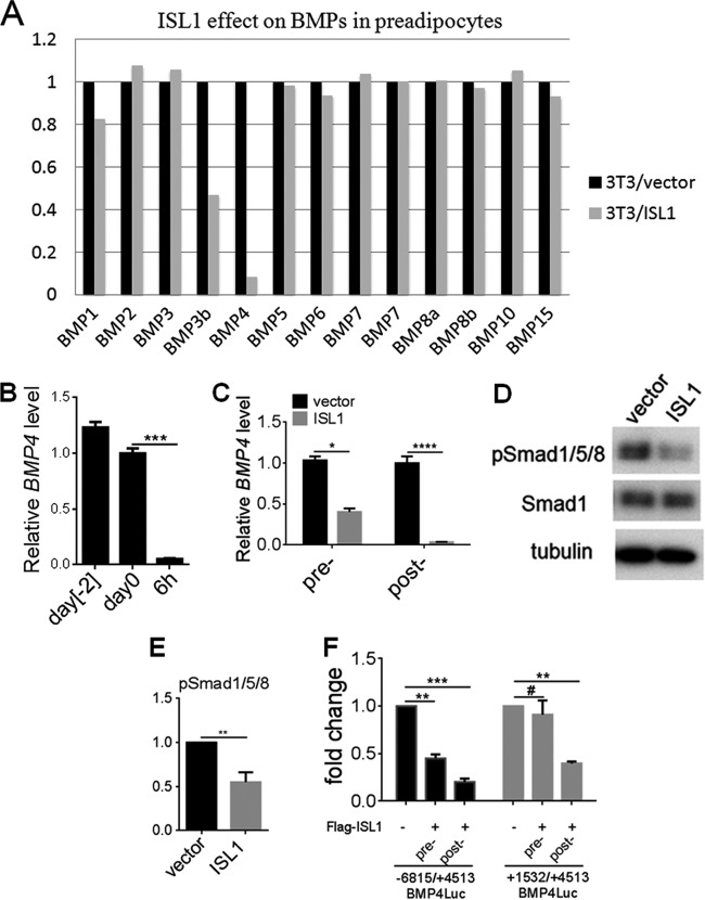 FIG 6