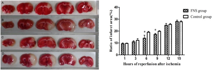 Fig 6