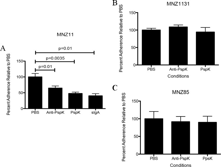 FIG 6