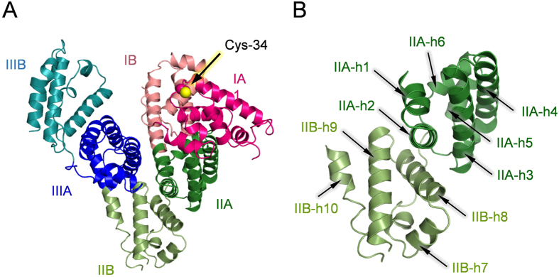 Figure 2