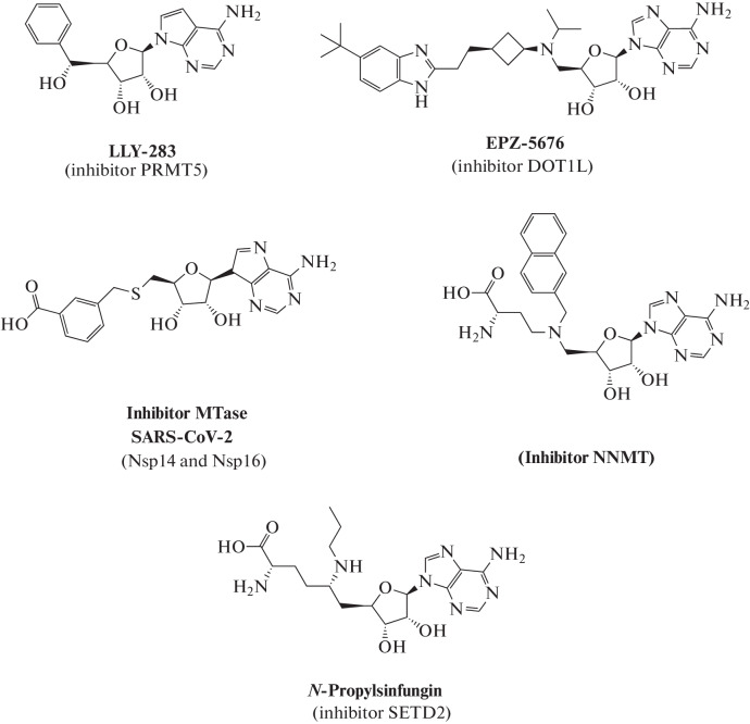 Fig. 8. 