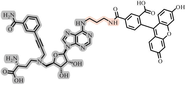 Fig. 23. 