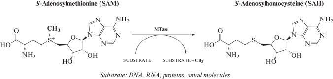 Fig. 1. 