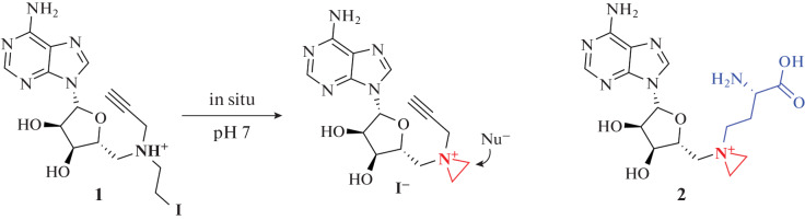 Fig. 19. 