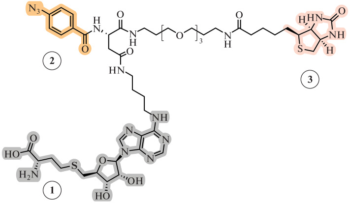 Fig. 22. 