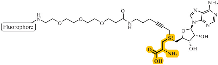 Fig. 16. 