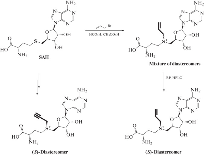 Fig. 9. 