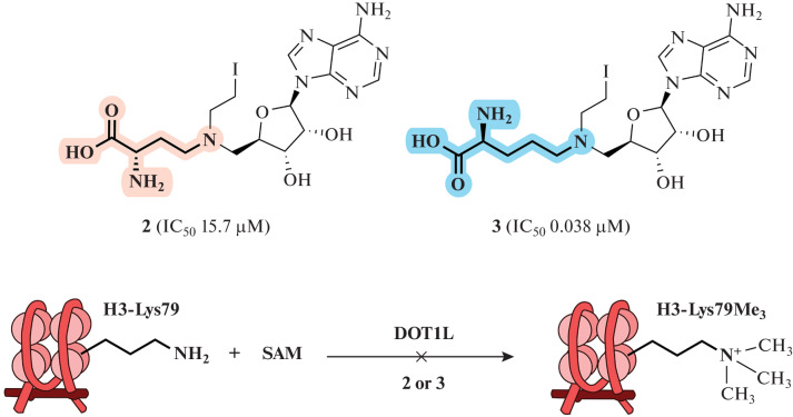 Fig. 20. 