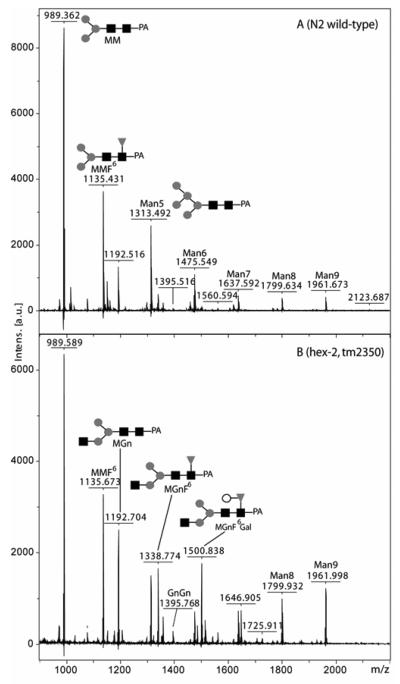 Figure 7