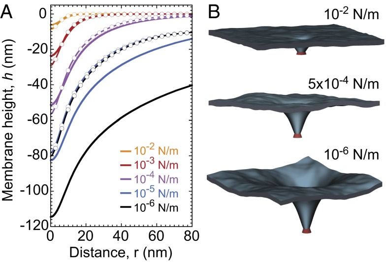 Fig. 3.