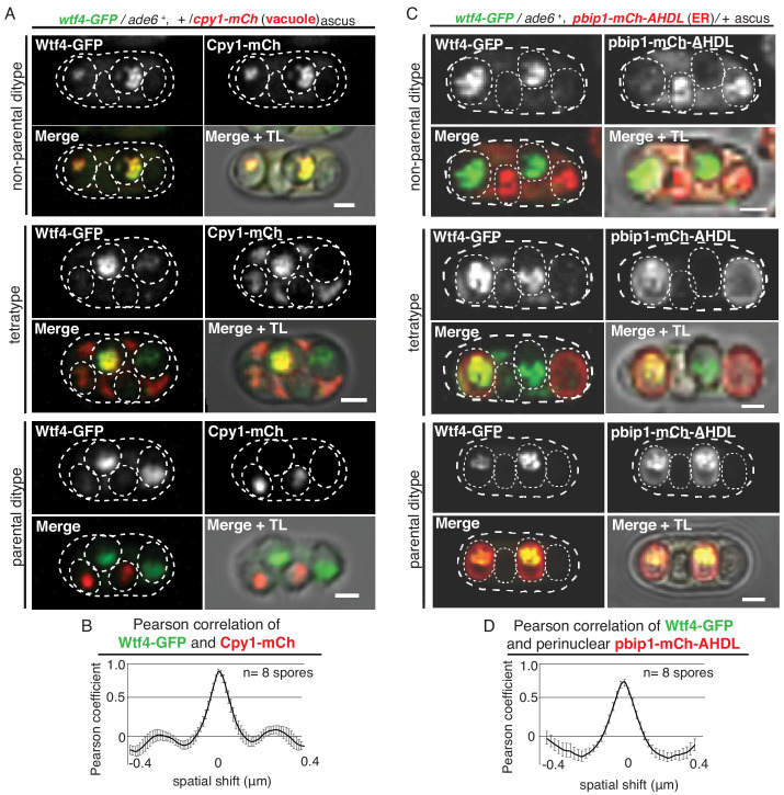 Figure 1—figure supplement 2.