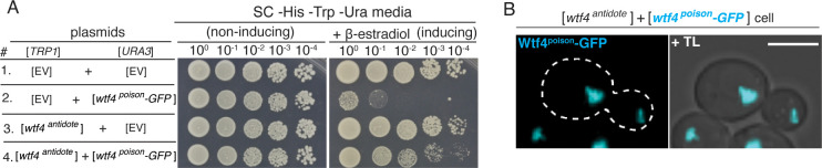 Figure 2—figure supplement 2.