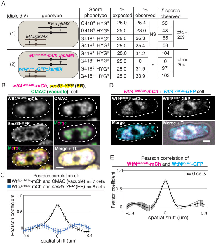 Figure 1—figure supplement 3.