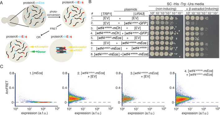 Figure 2—figure supplement 4.