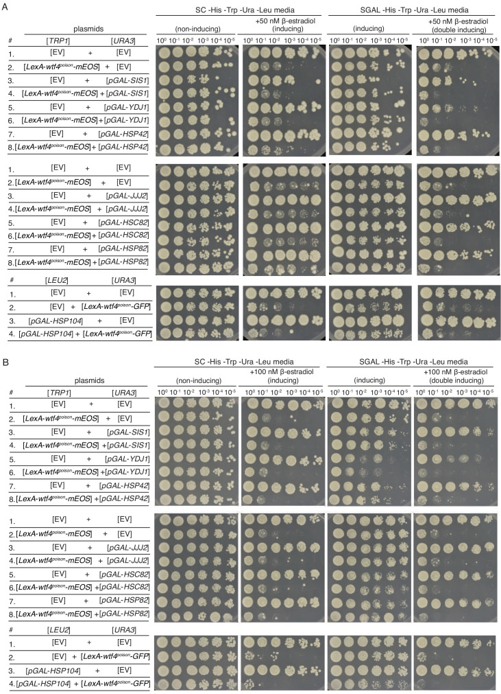 Figure 2—figure supplement 5.