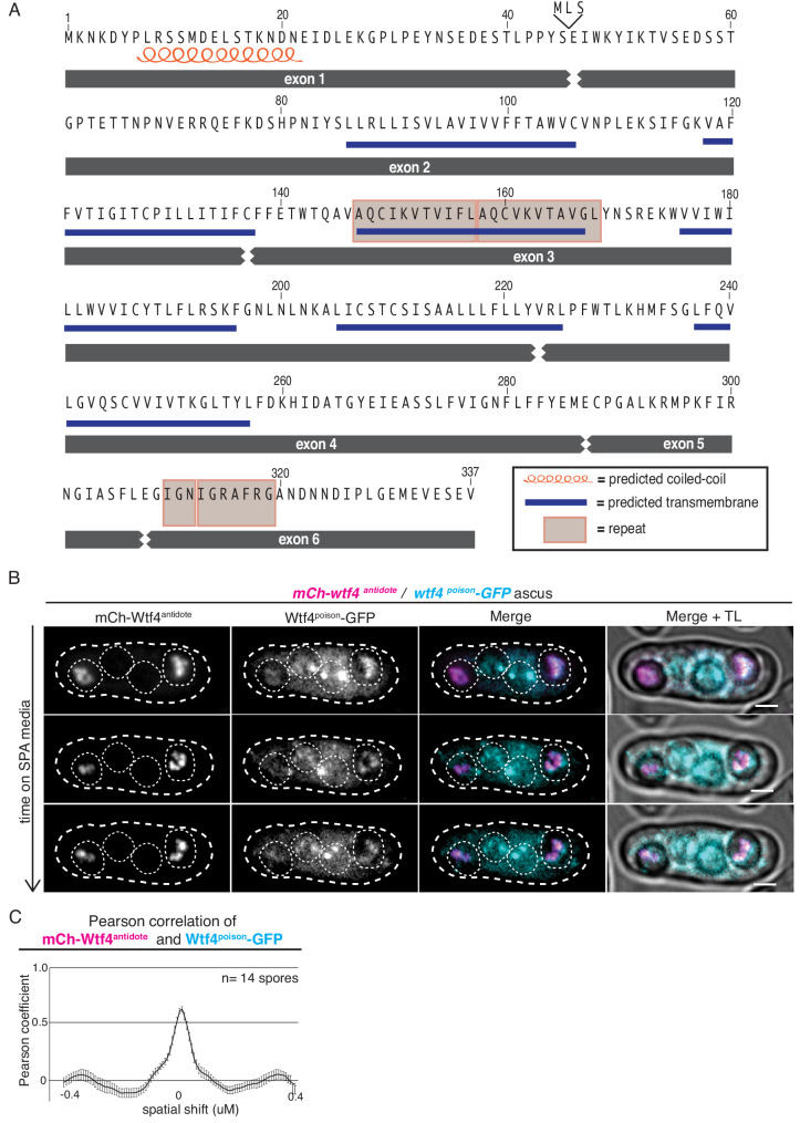 Figure 1—figure supplement 1.