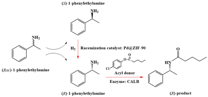 Scheme 2