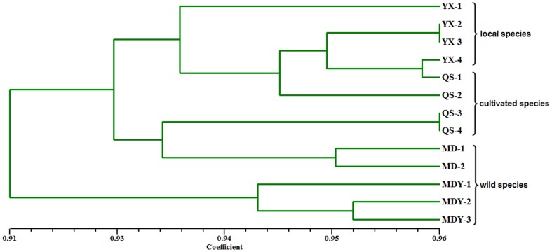 Figure 9