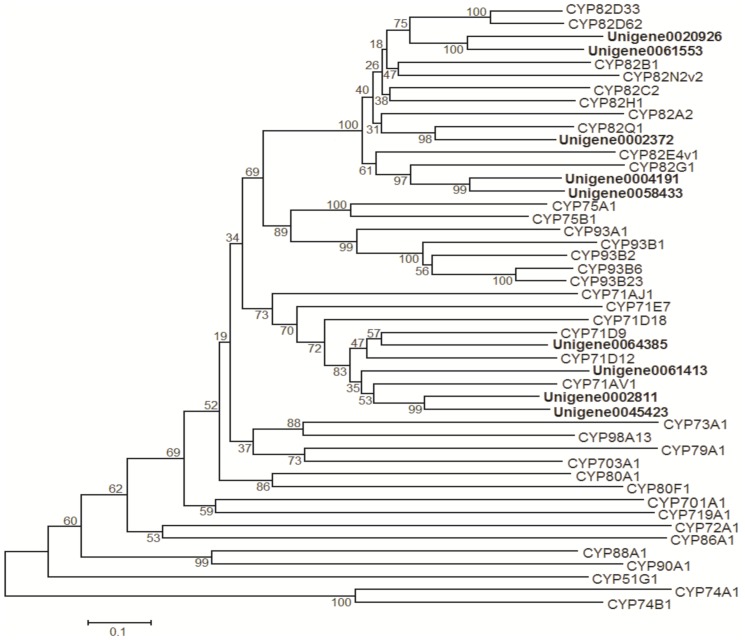 Figure 7