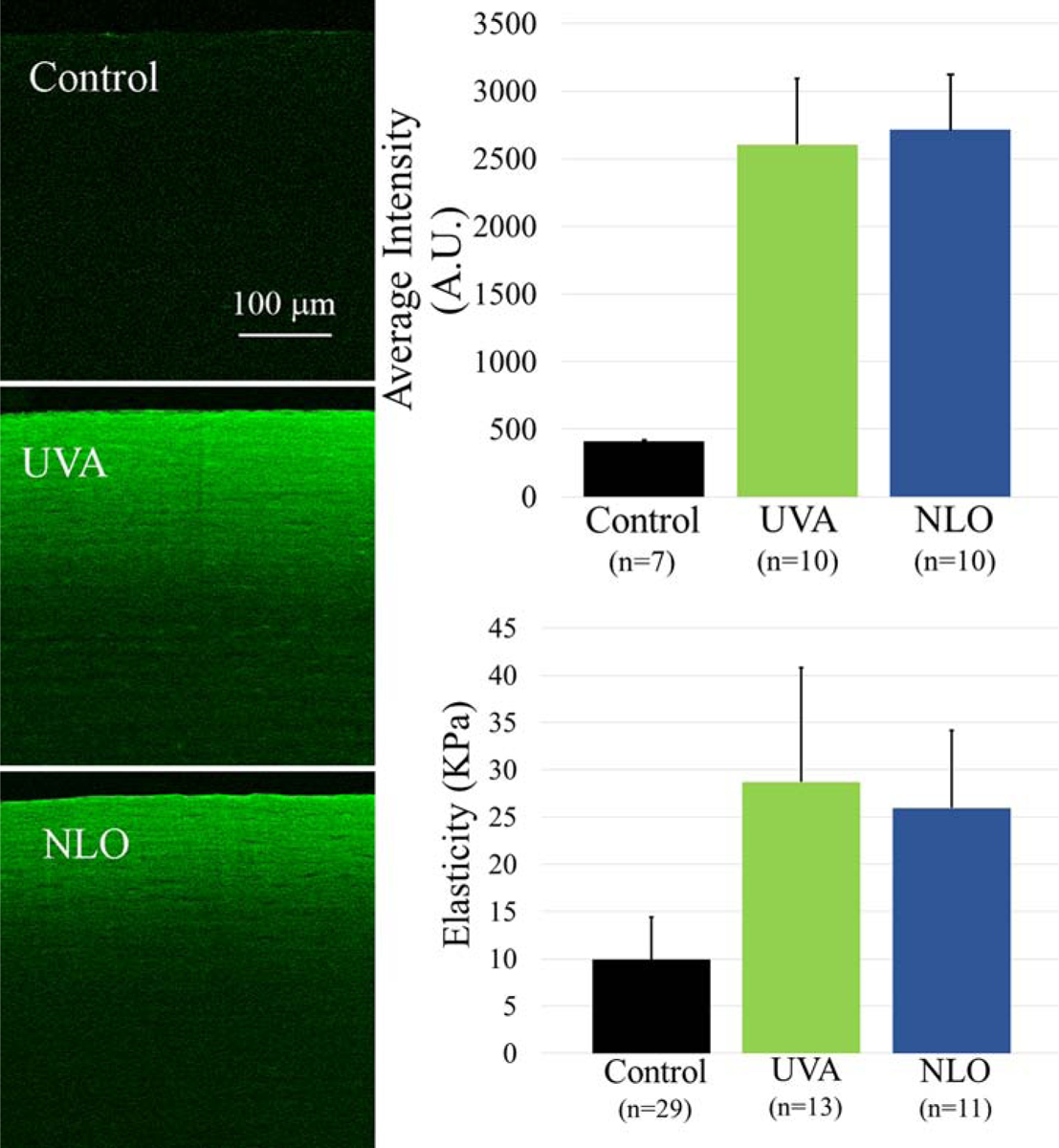 Figure 3: