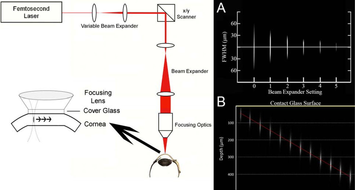 Figure 2: