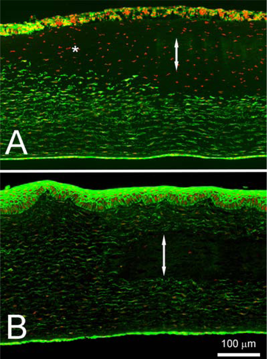 Figure 7: