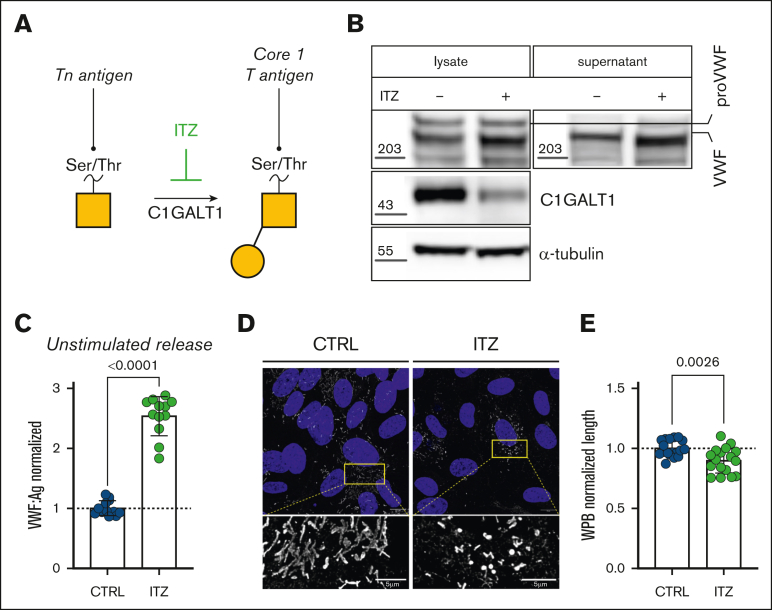 Figure 3.