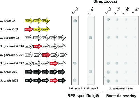 FIG. 4.