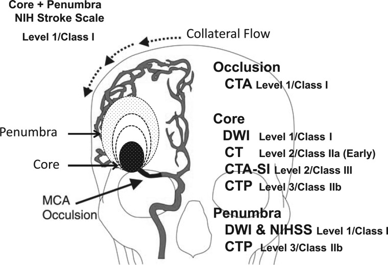 Figure 1